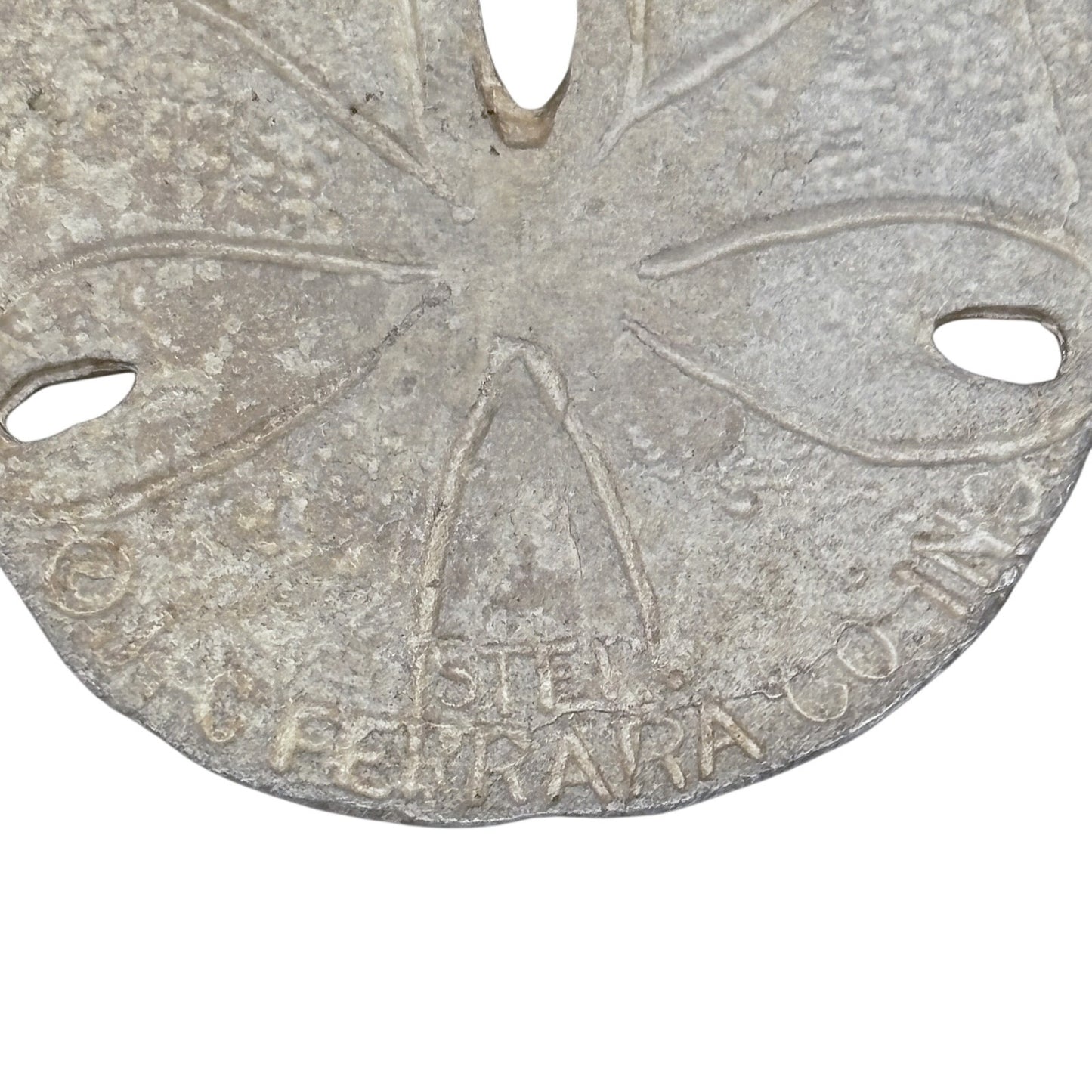 Vintage J & C Ferrara Co Inc Sterling Silver 925 Sand Dollar Bird Necklace 19"